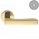 Дверная ручка Colombo VIOLA AR21R zirconium gold AR21R.HPS