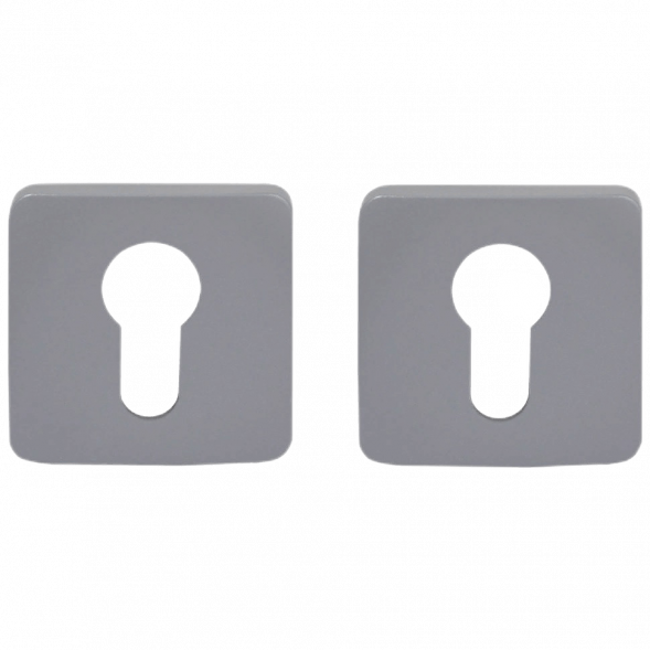 Накладка под цилиндр Colombo Design Rosetta OneQ CC23 серебро 2 шт